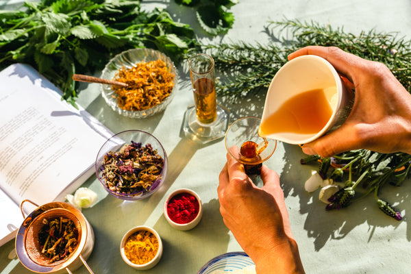In-Person: Community Herbalist Workshop with Laura Ash - December 14, 6:30-8:30pm PT