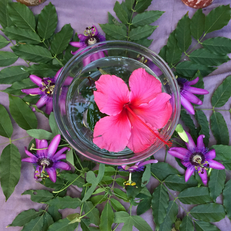 IN-PERSON: Flower Essences for Emotional Healing with Napaquetzalli Martinez - 7/27 @ 6:30pm-8:30pm