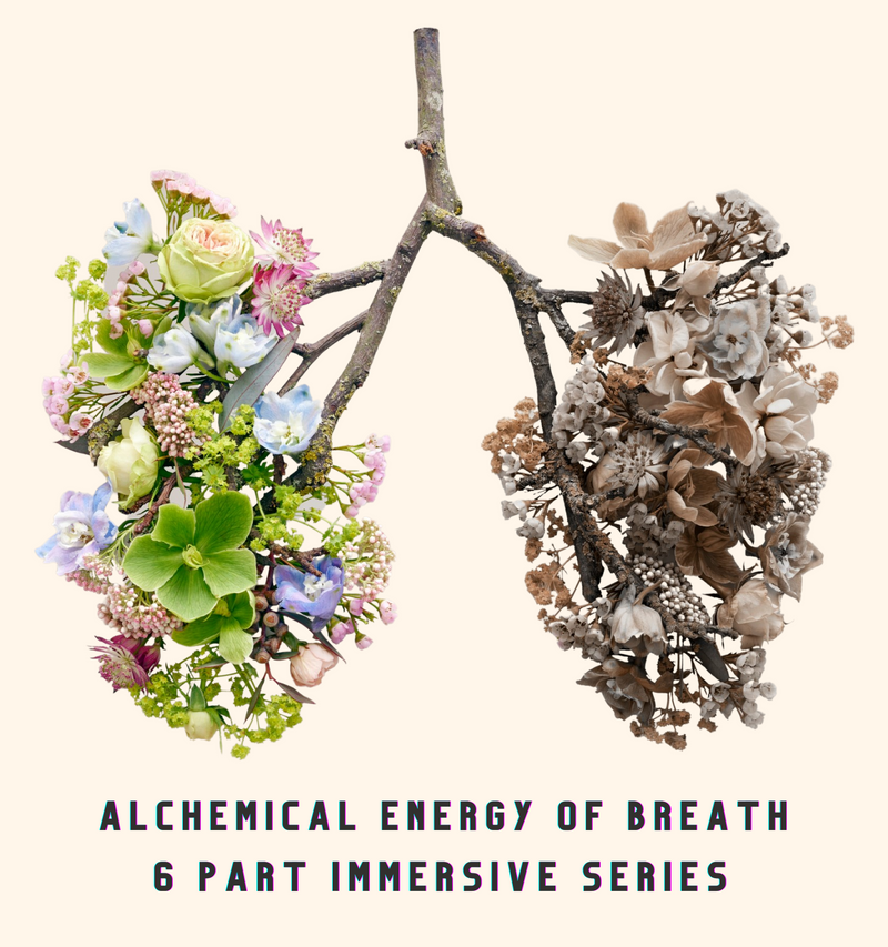 Recording: The Alchemical Energy of Breath: 6 Part Immersive Series with Lindsay Kumari Jaya