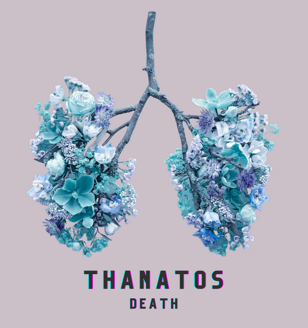 Recording: Thanatos: Death - Observing, Accepting, and Exploring the Unknown (Part 2 in Series) with Lindsay Kumari Jaya