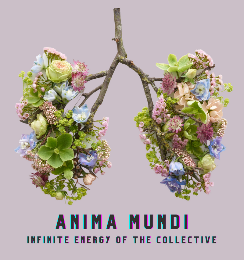 Recording: Anima Mundi, The Vital, Infinite Energy of the Collective (Part 6 in Series)
