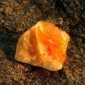 Alaskan Essences Orange Calcite .25oz - The Scarlet Sage Herb Co.