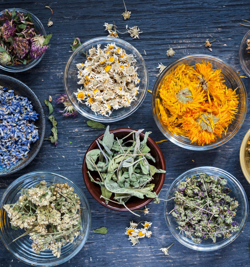 Medicine Making: Medicinal Salves, Ointments, and Beauty Creams with Laura Ash