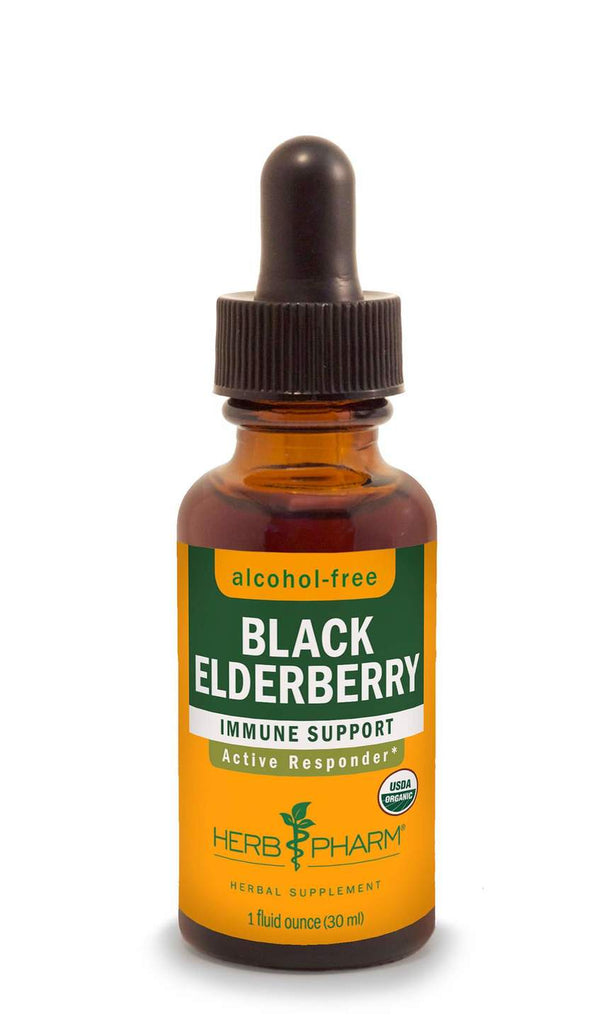 Herb Pharm Black Elderberry Glycerite 1oz.-Tinctures-The Scarlet Sage Herb Co.