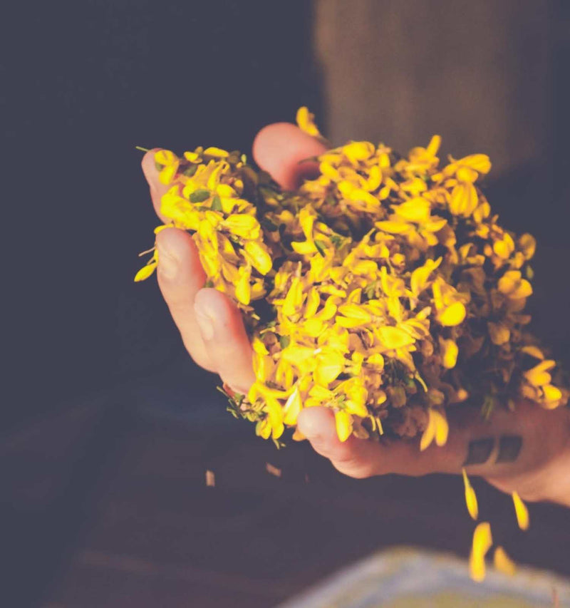 IN-PERSON: Botanical Perfumery with Carole Addison - December 7, 5:00-8:00pm PT