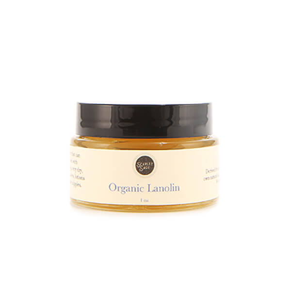 Lanolin, Organic - The Scarlet Sage Herb Co.