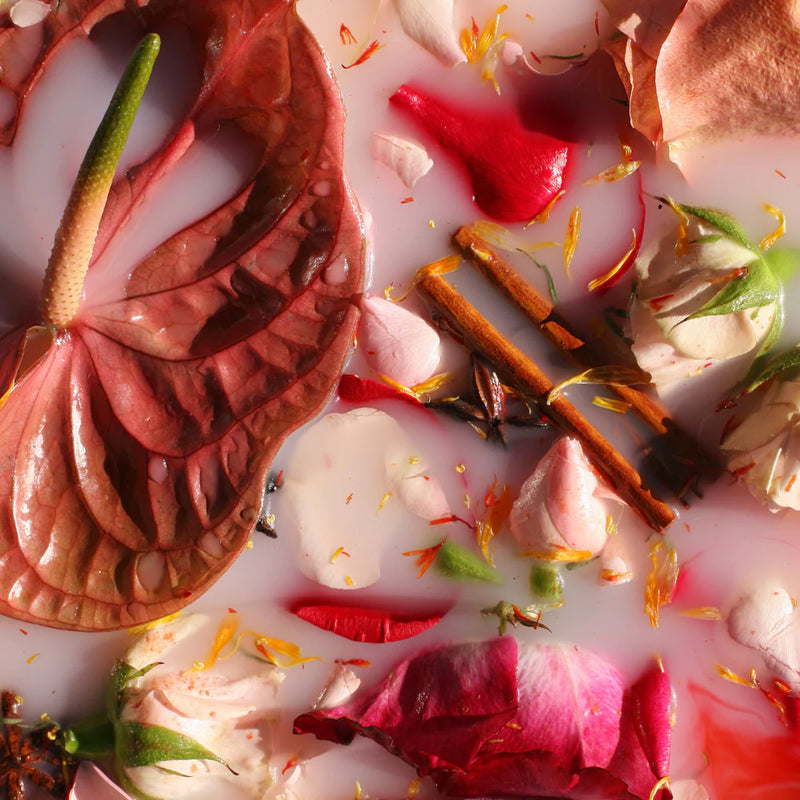 IN-PERSON: Plant Magic Intensive with Napaquetzalli - May 12th, 4:30-6:30PM PT (Part 4 in Series)