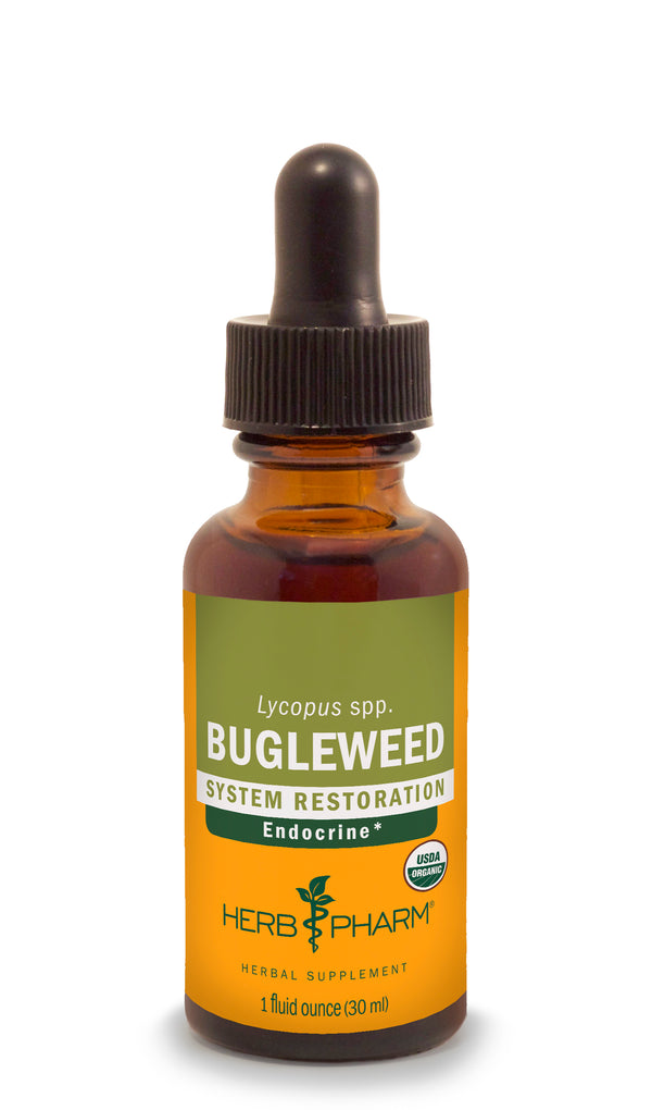 Herb Pharm Bugleweed 1oz.-Tinctures-The Scarlet Sage Herb Co.