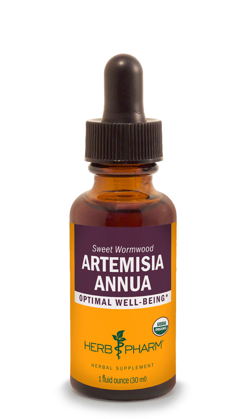 Herb Pharm Artemisia Annua 4 oz-Tinctures-The Scarlet Sage Herb Co.