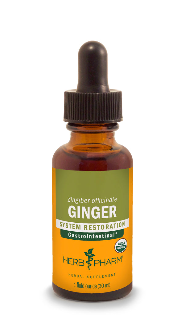 Herb Pharm Ginger 1oz-Tinctures-The Scarlet Sage Herb Co.