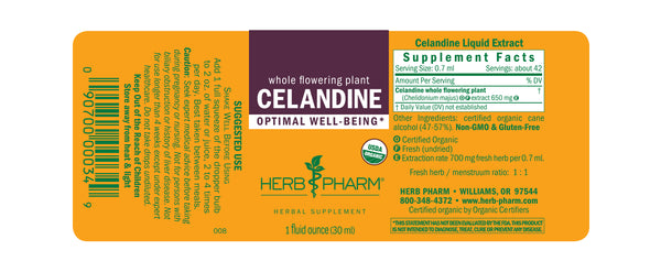 Herb Pharm Celandine 1oz-Tinctures-The Scarlet Sage Herb Co.