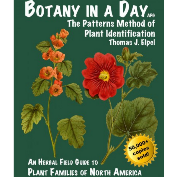 Botany In A Day by Thomas J. Elpel-Books-The Scarlet Sage Herb Co.