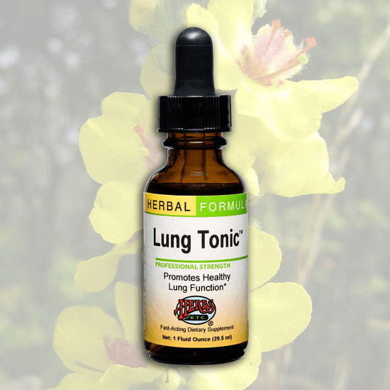 Herbs Etc Lung Tonic AF 1oz-Supplements-The Scarlet Sage Herb Co.