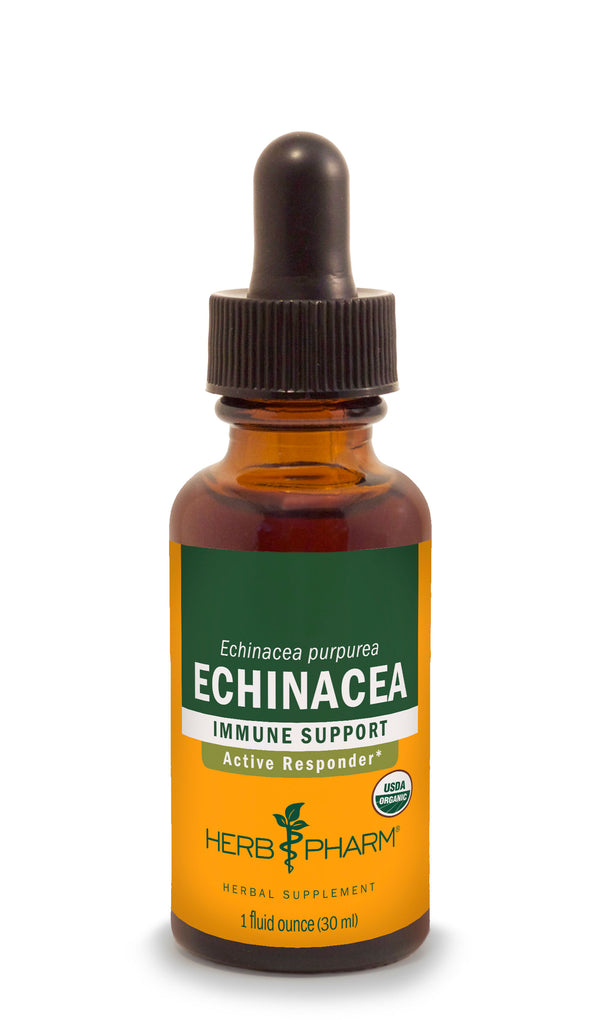 Herb Pharm Echinacea 4oz-Tinctures-The Scarlet Sage Herb Co.