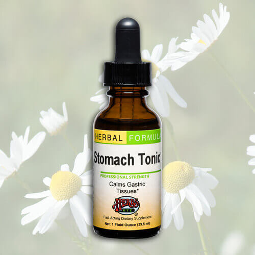 Herbs Etc Stomach Tonic 1oz-Supplements-The Scarlet Sage Herb Co.