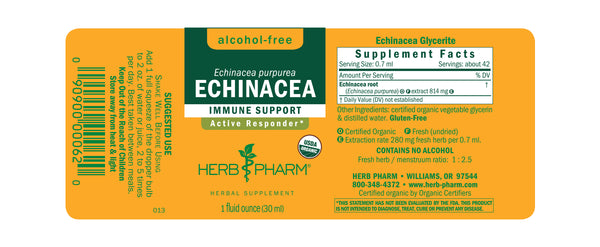 Herb Pharm Glycerite Echinacea 1oz-Tinctures-The Scarlet Sage Herb Co.