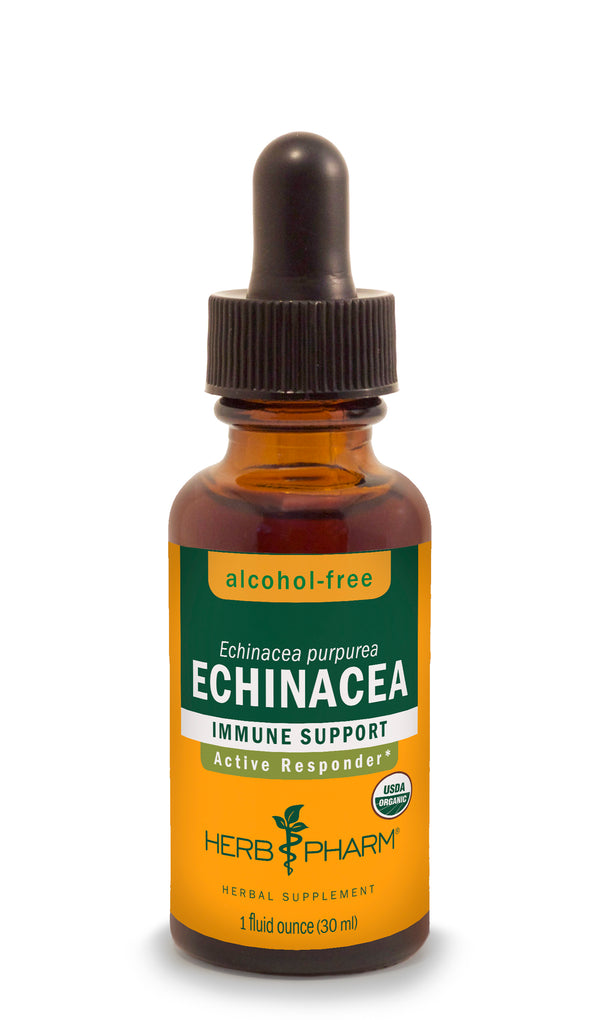 Herb Pharm Glycerite Echinacea 1oz-Tinctures-The Scarlet Sage Herb Co.
