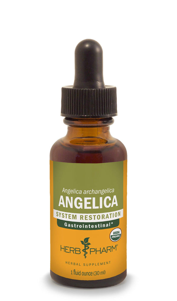 Herb Pharm Angelica 1oz-Tinctures-The Scarlet Sage Herb Co.