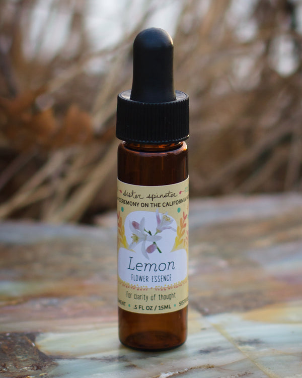 Sister Spinster Lemon Flower Essence 15ml