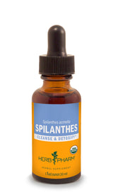 Herb Pharm Spilanthes 1oz-Tinctures-The Scarlet Sage Herb Co.